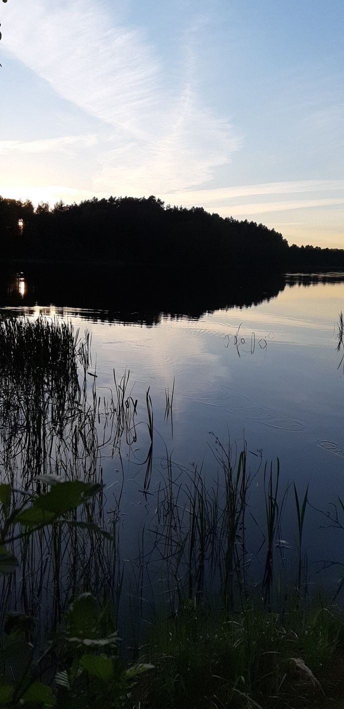 Wynajmę domek nad jeziorem w lesie,z solarium. Wakacje 2024 Zapraszamy