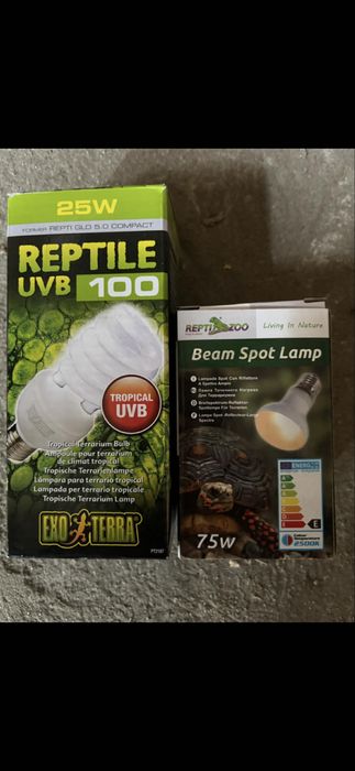 Duże terrarium 80/100/180 dla Węża Legwana itp ki