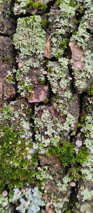 Помощь от внутренней тяжести.