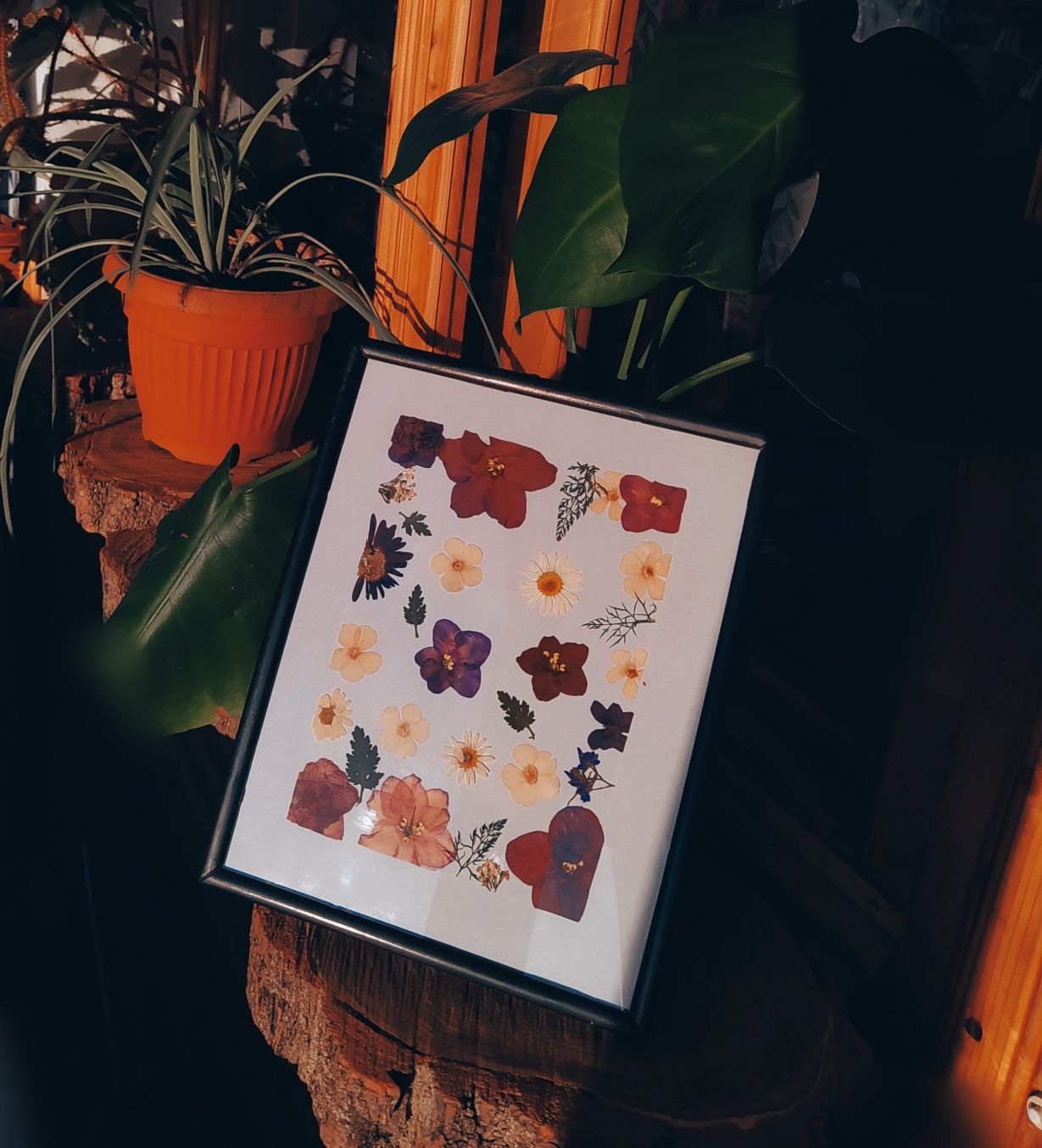 Панно цветы в картине гербарий в стекле креатив сухоцветов