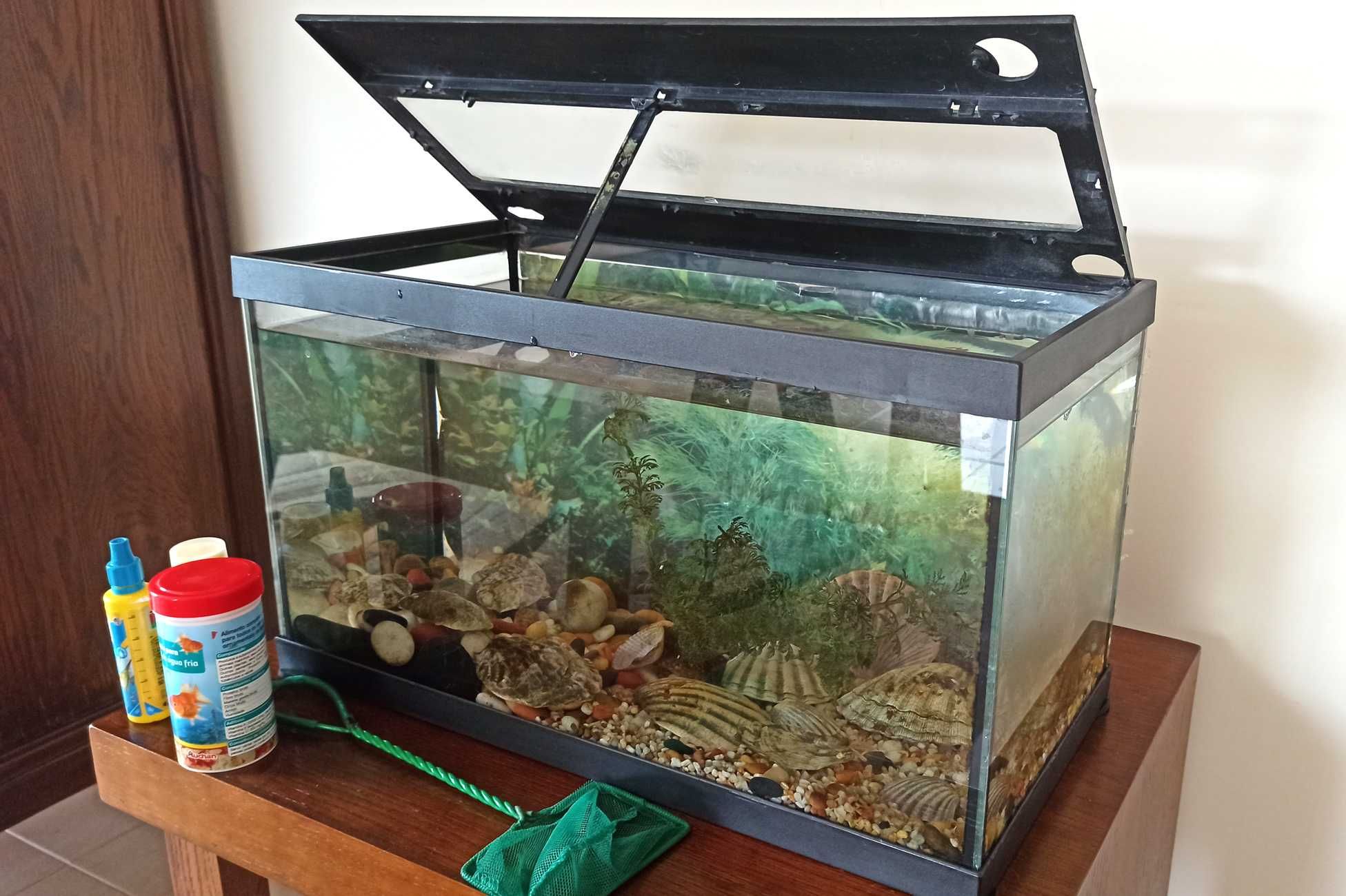 Aquário 40L completo com acessórios