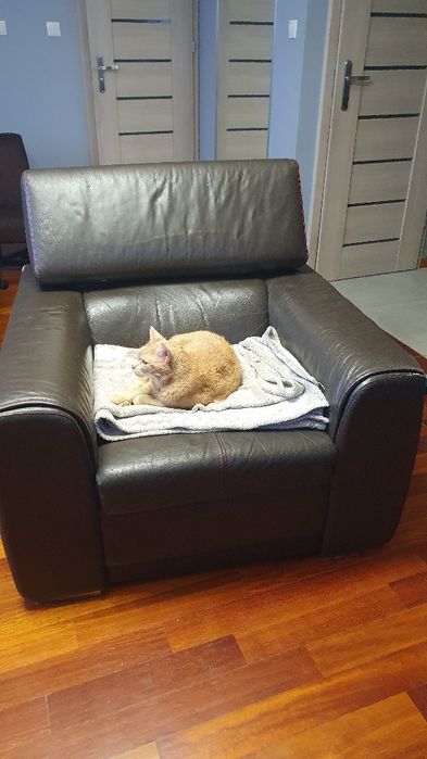 Fotel brązowy skóra naturalna