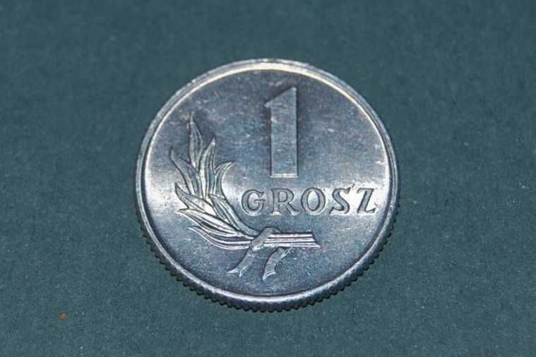 1 grosz 1949r BZ Moneta PRL Starocia