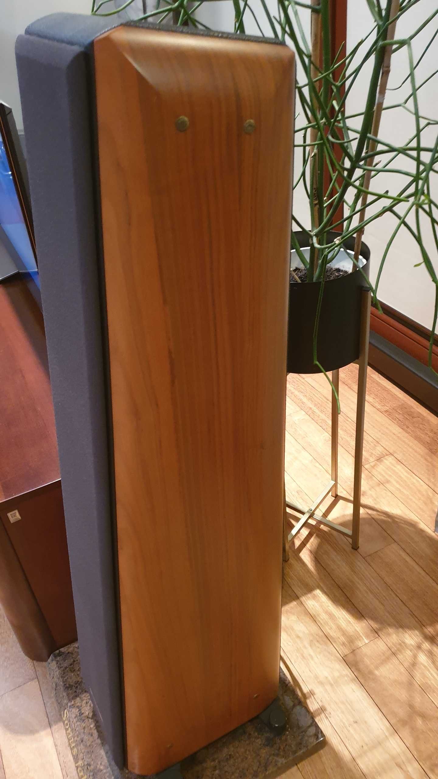 Kolumny Głośnikowe Sonus Faber