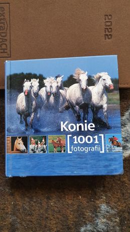 Album fotograficzny konie