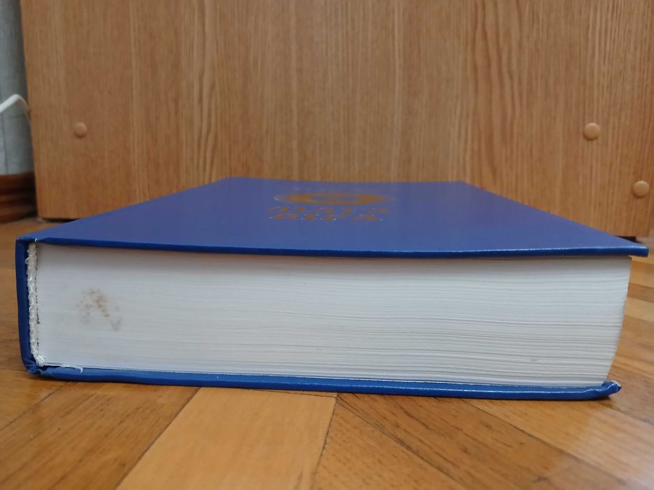 Л. Силенко "Мага Віра"