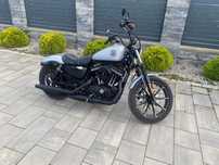 Harley Davidson  iron 883