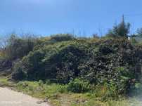 Terrenos para Construção c/ projeto