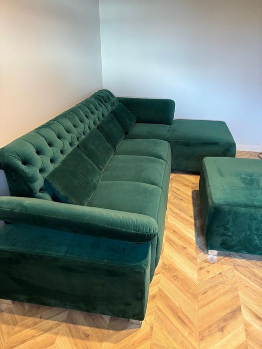 Kanapa rogówka zielona