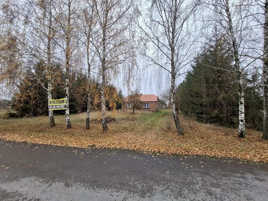 Sprzedam siedlisko w Rozkopaczewie
