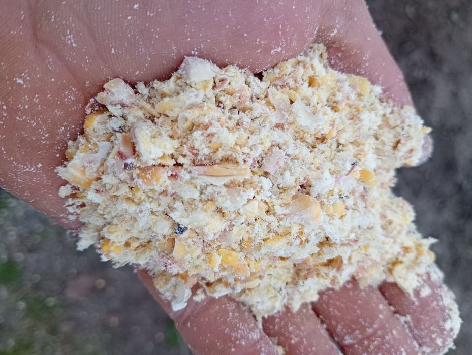 Mielone ziarno kukurydzy w big bagu z wkładem foliowym