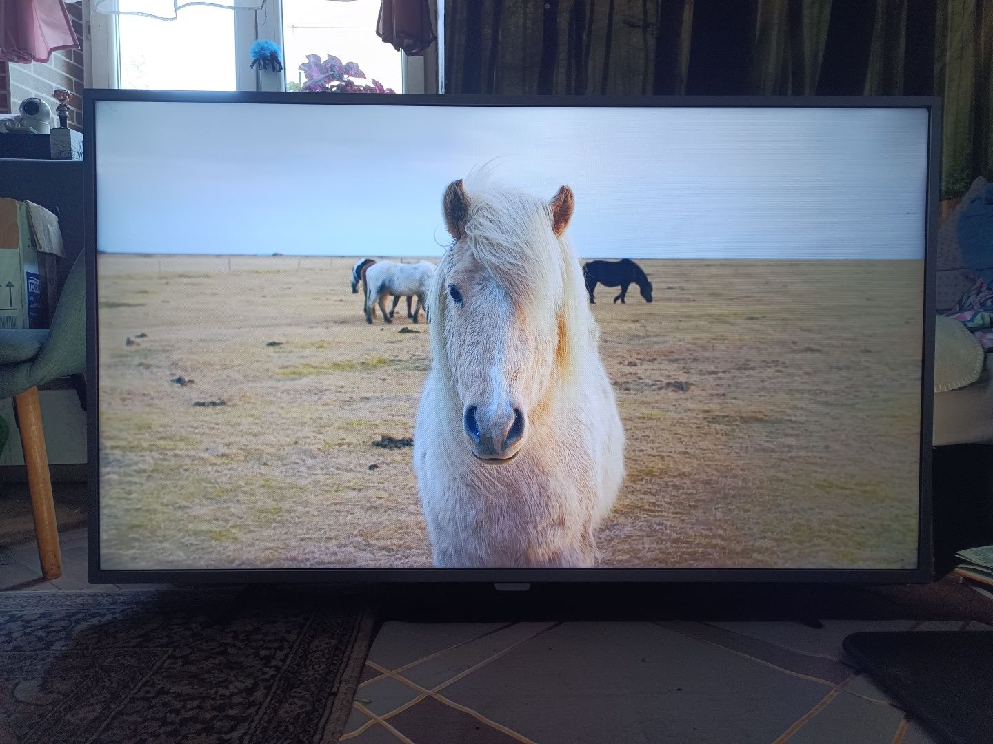 Tv Philips 55" 4K ANDROID DVB-T 2 hevc WiFi UHD HDR telewizor Smart