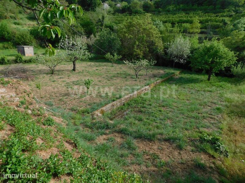 Terreno / Fundão, Alcaide