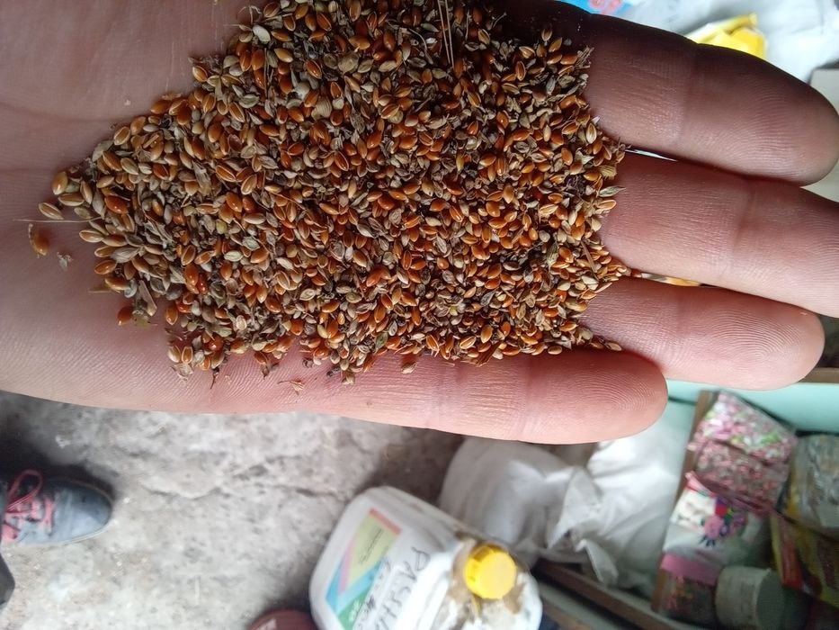 Продам висівку. Комбікорм.січку.макарони. мучку