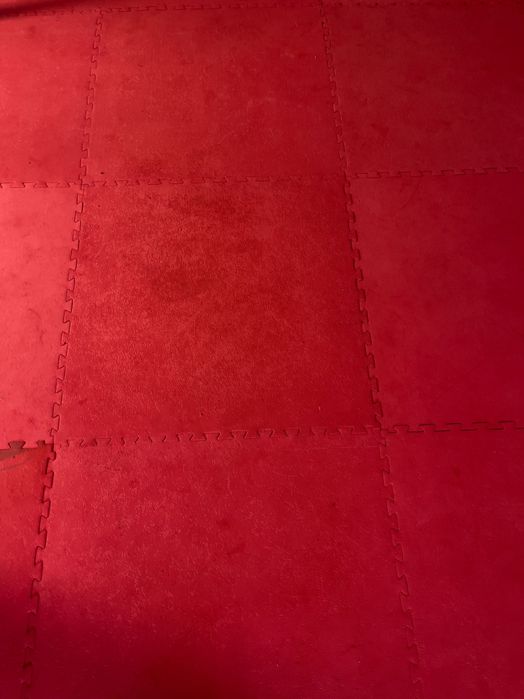 Lote de tatamis em muito bom estado