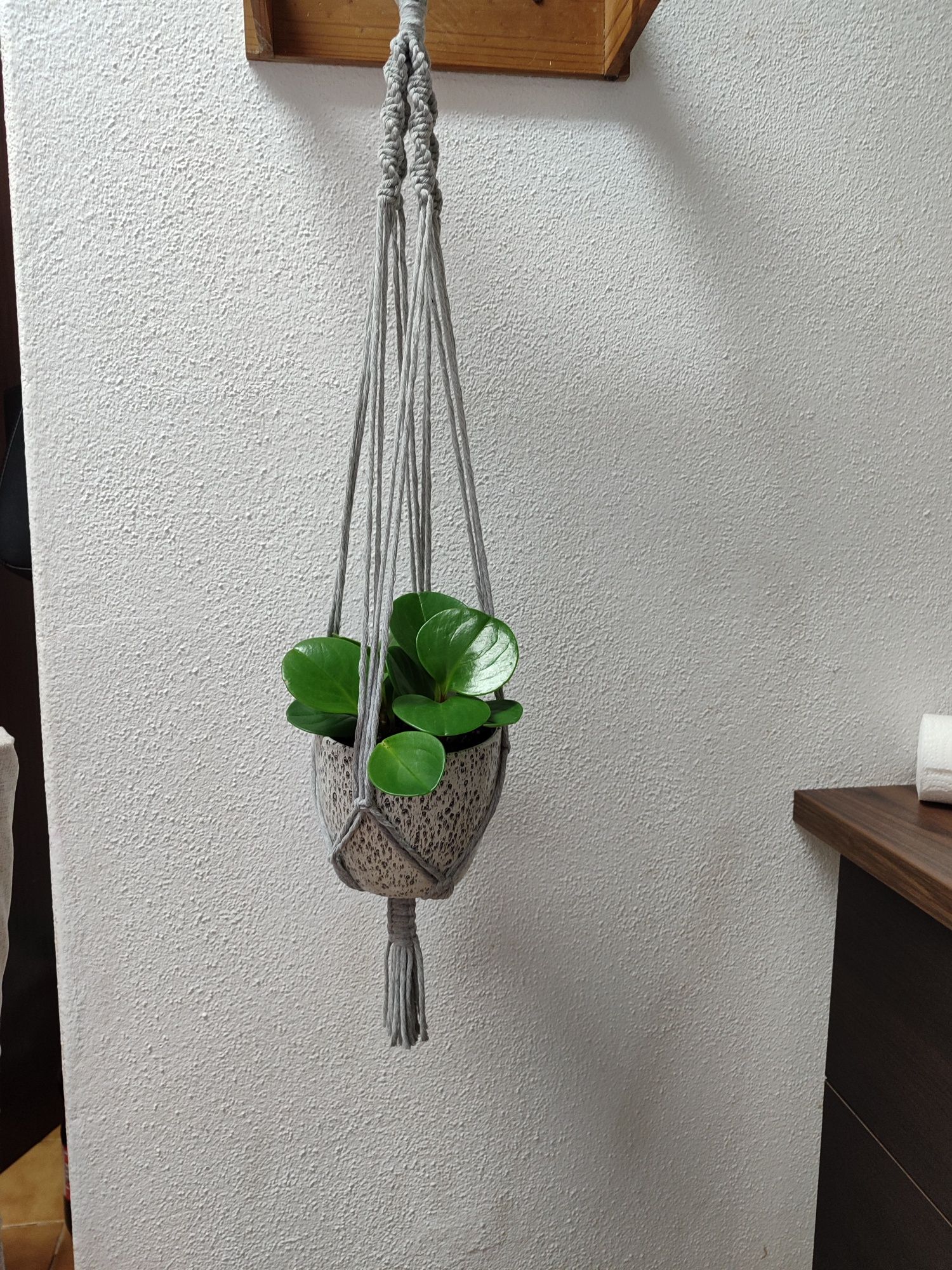 Suporte de plantas macramé