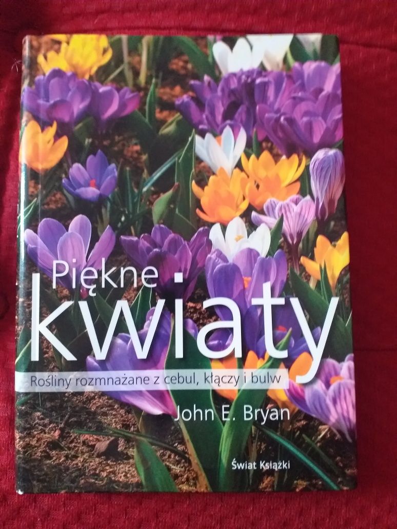 Piękne kwiaty - John E. Bryan