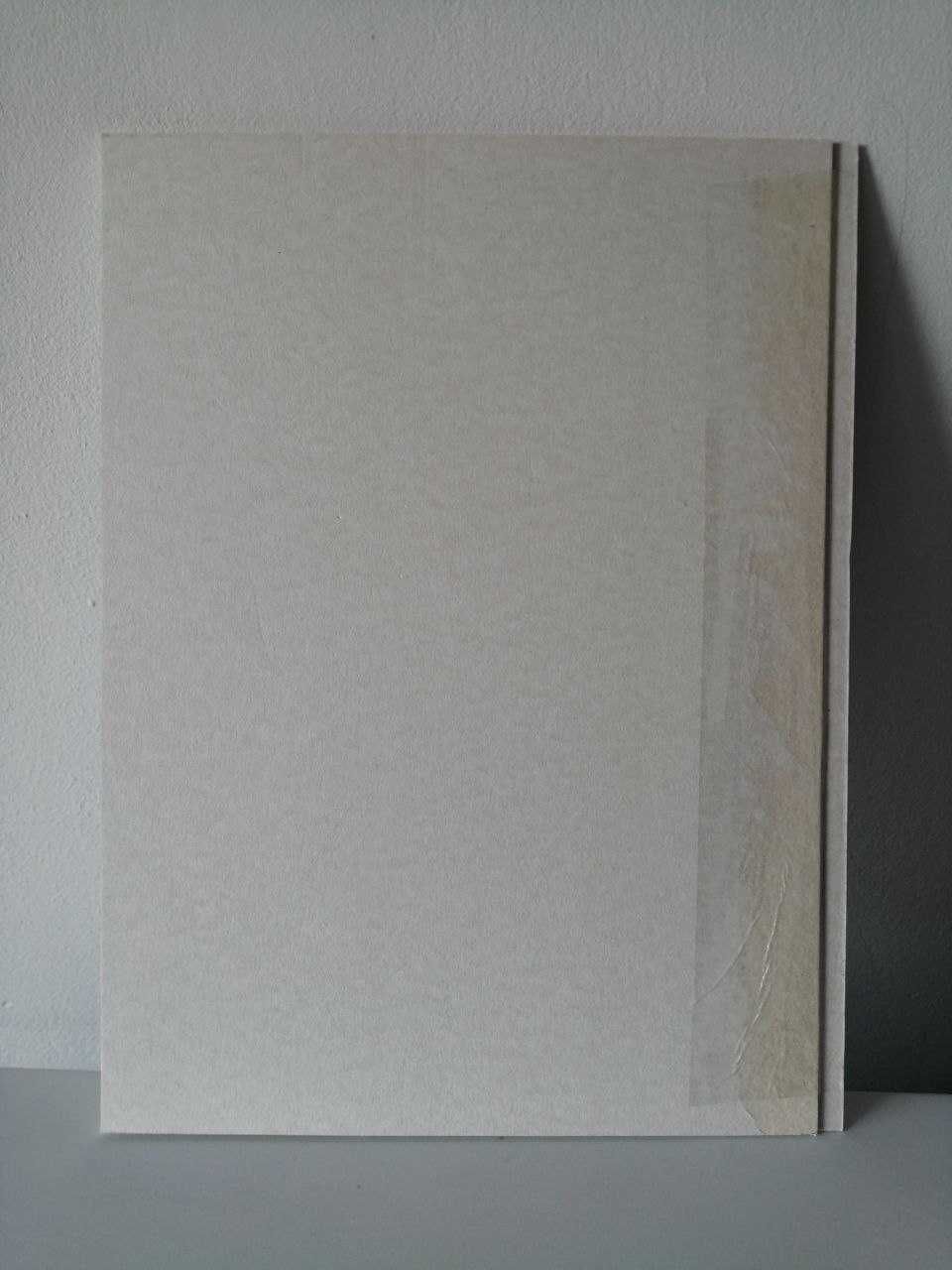 Grafika/Rysunek żaba rzekotka, tusz, oprawa