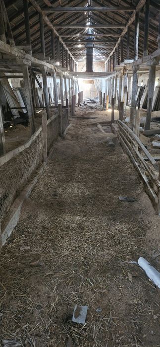 Продам дві ферми