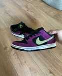 Оригинальные кроссовки Nike SB Dunk › Low Pro ACG Terra Red Plum...