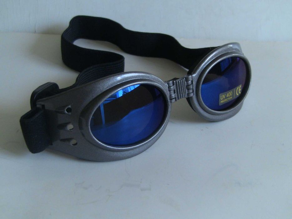 Oчки SNOWBIRD GOGGLES для сноубординга и катания на санях