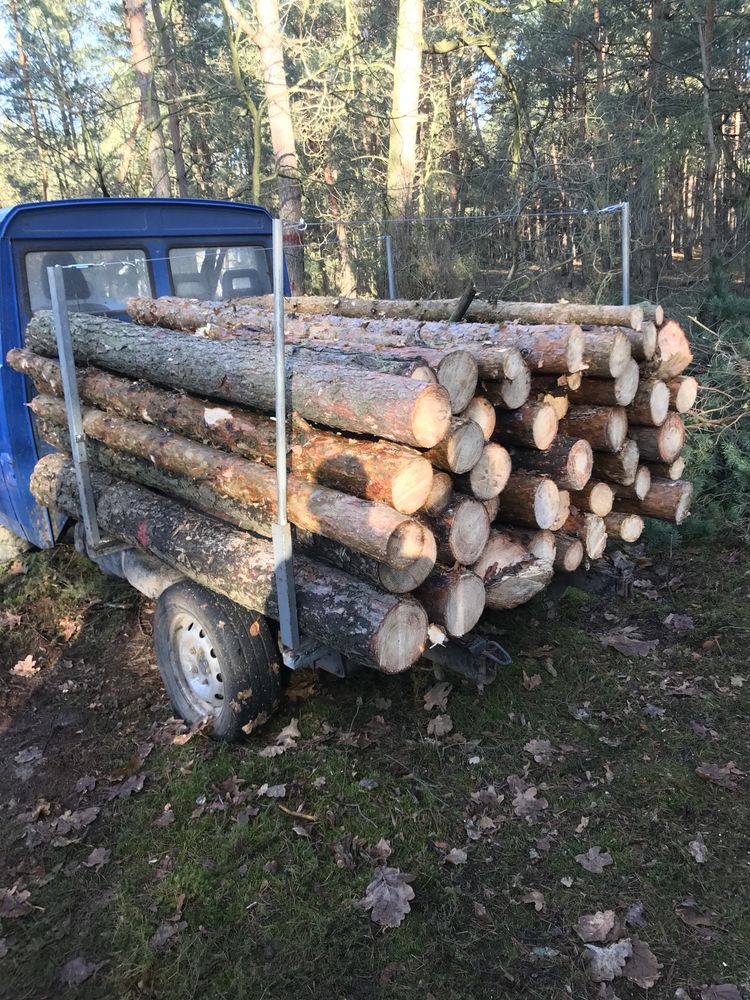 Wycinka drzew, czyszczenie działek. Skup drewna.