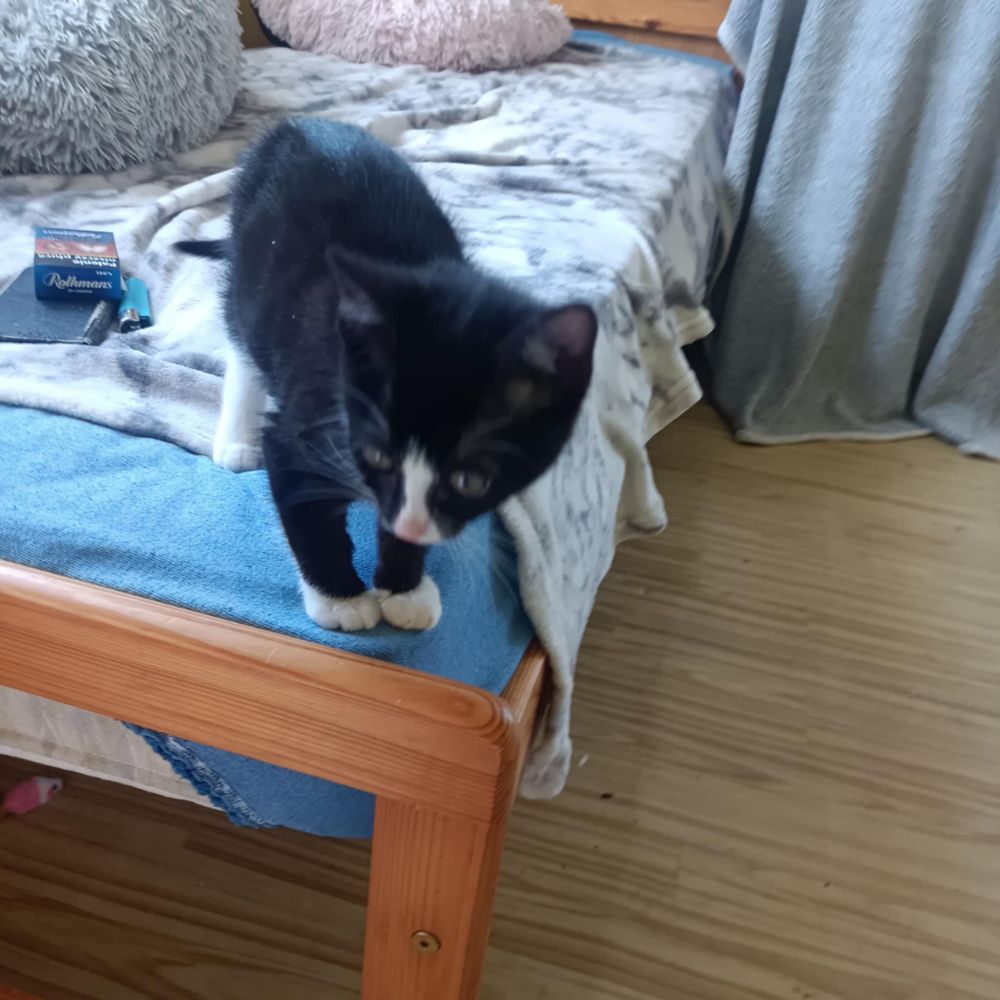 Hej mamo! Kiedy mnie adoptujesz?