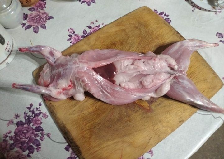 Мясо кролика кролятина кріль м'ясо