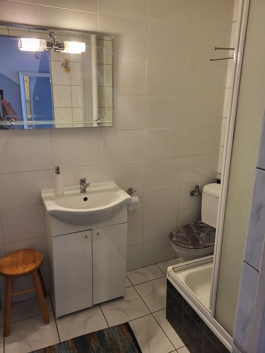 Mieszkanie  do wynajęcia