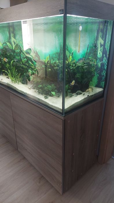 Akwarium 450 L z szafką