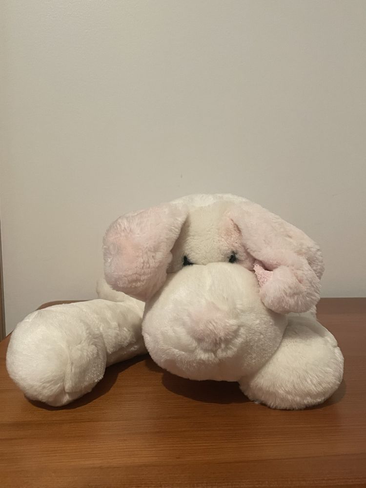 Cães peluche.