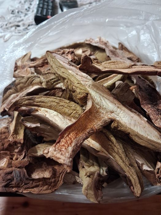 Prawdziwki, borowiki suszone 1kg