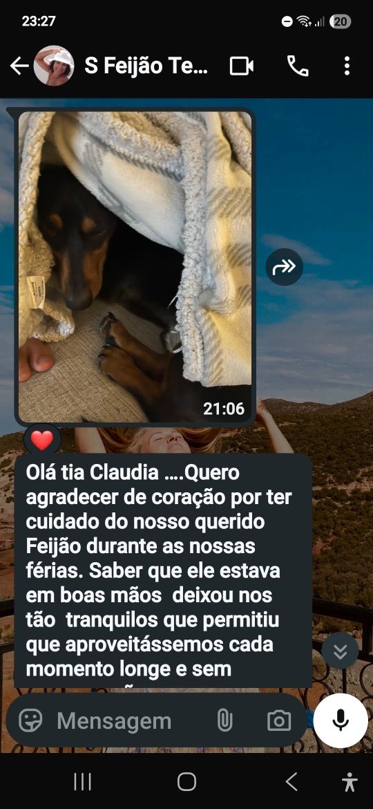 Estadia familiar canina creche