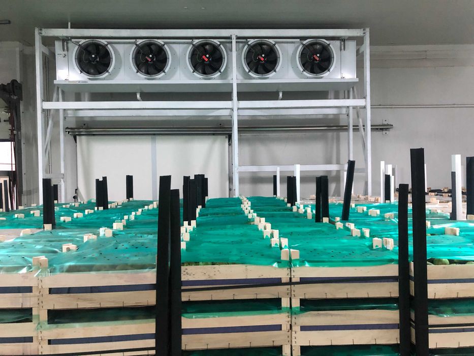 Chłodnia box 60m2 usługi magazyn komora Błonie Warszawa