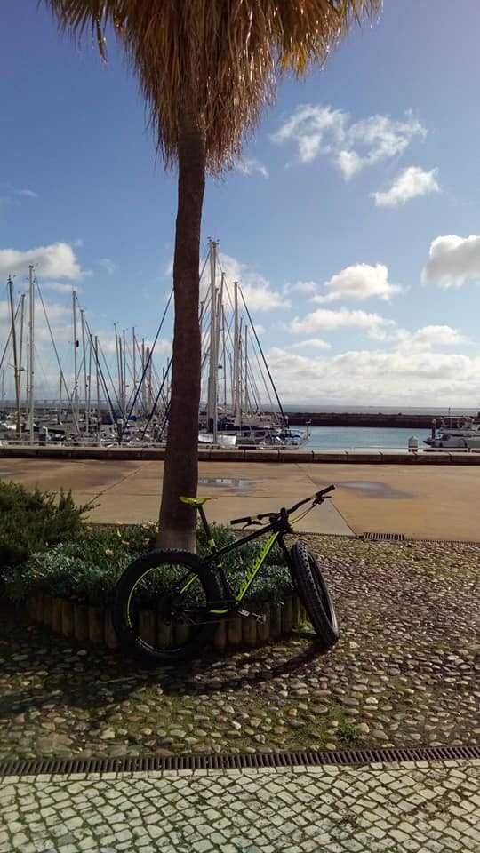 cannondale fat bike