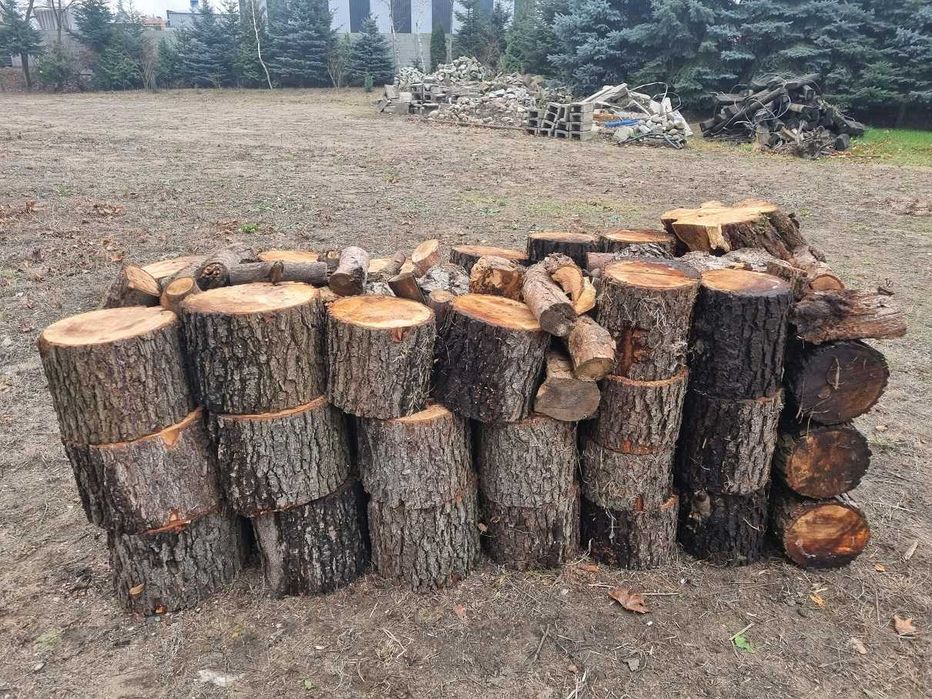 Drewno opałowe olcha (olszyna)