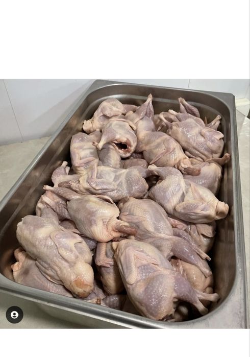 Тушка перепілки м'ясо опт