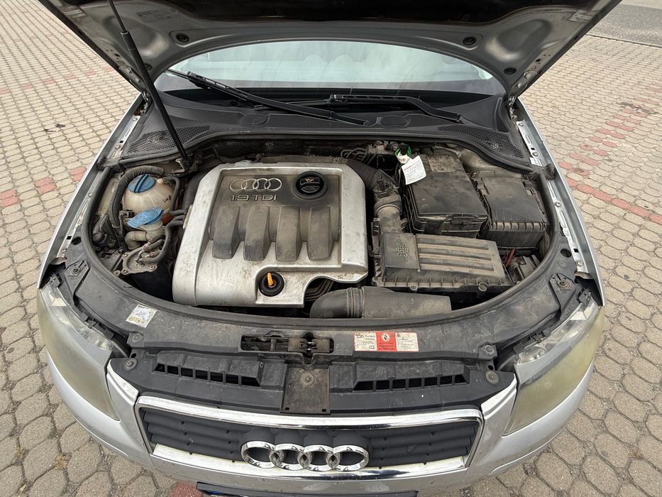 Audi A3 8P 1.9 TDI
