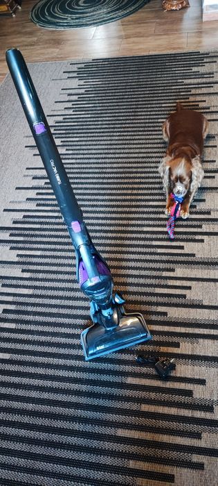 Pionowy odkurzacz Russell Hobbs Turbo Vac Pro