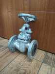 Zawór zaporowy grzybkowy DN25 PN40 industrialny