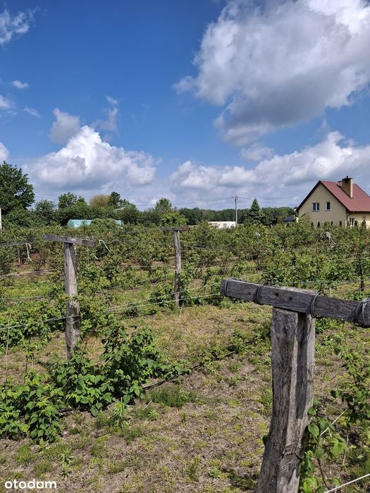 Sprzedam działkę budowlaną w Grubalach 8 km  od Siedlec
