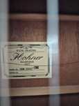Gitara hohner hw 300g