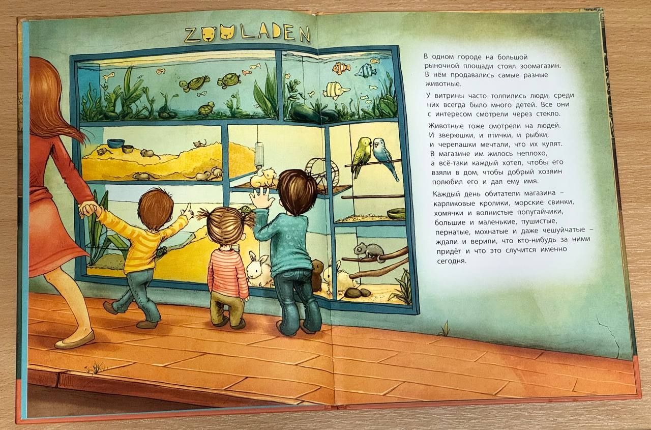 Послушайте, я здесь! История маленького хамелеона. Бригитта Эндрес