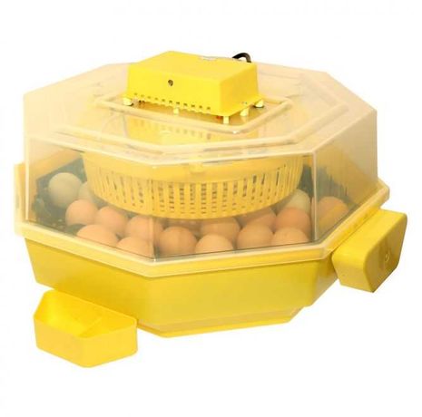 Inkubator z klujnikiem iBator Home AUTO automatyczna taca na 41 jaj