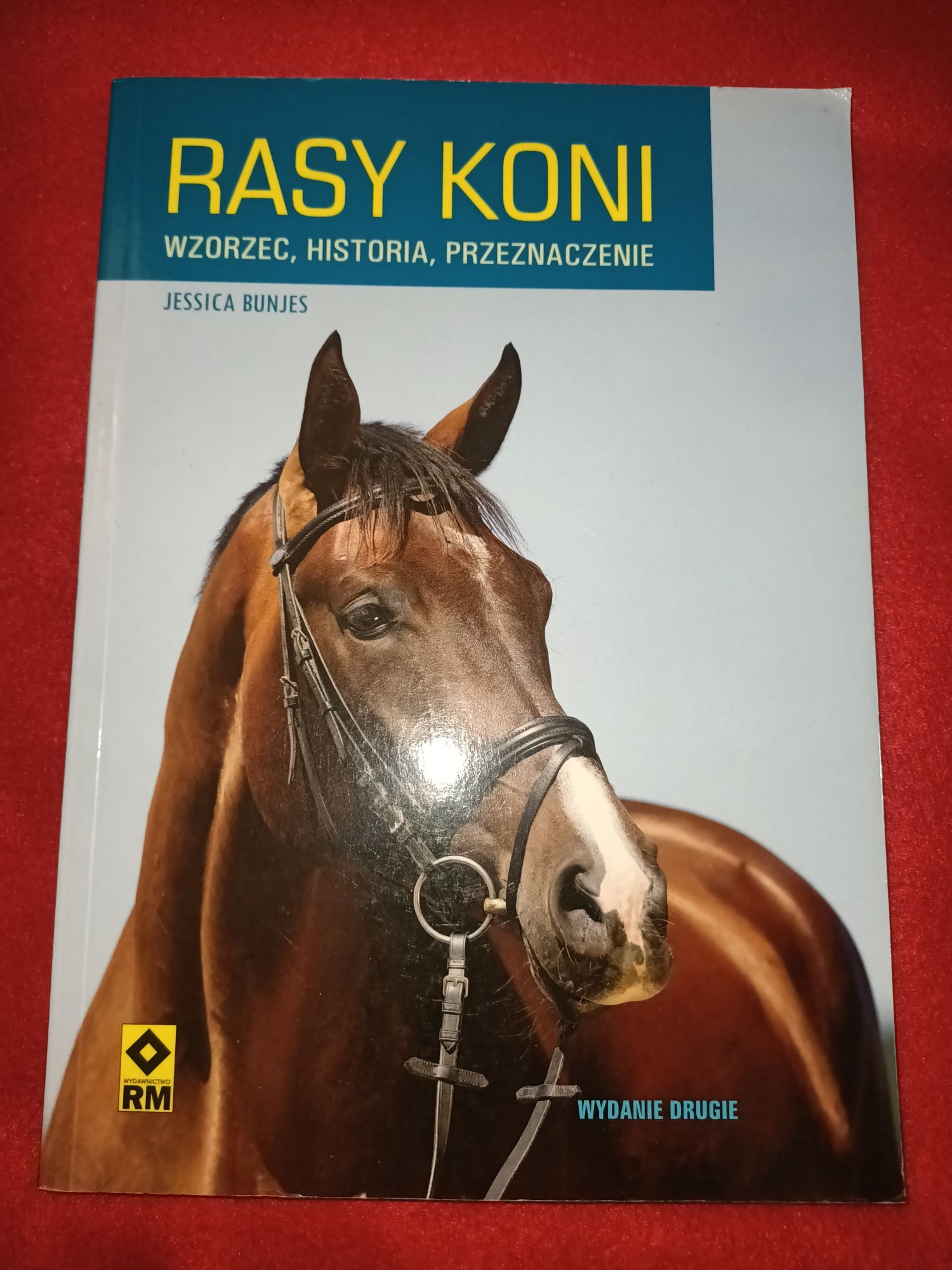 Rasy koni Jessica Bunjes
