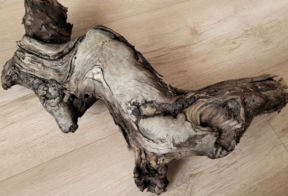 korzeń do terrarium dla agamy węża