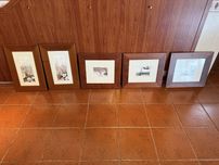 Telas decorativas