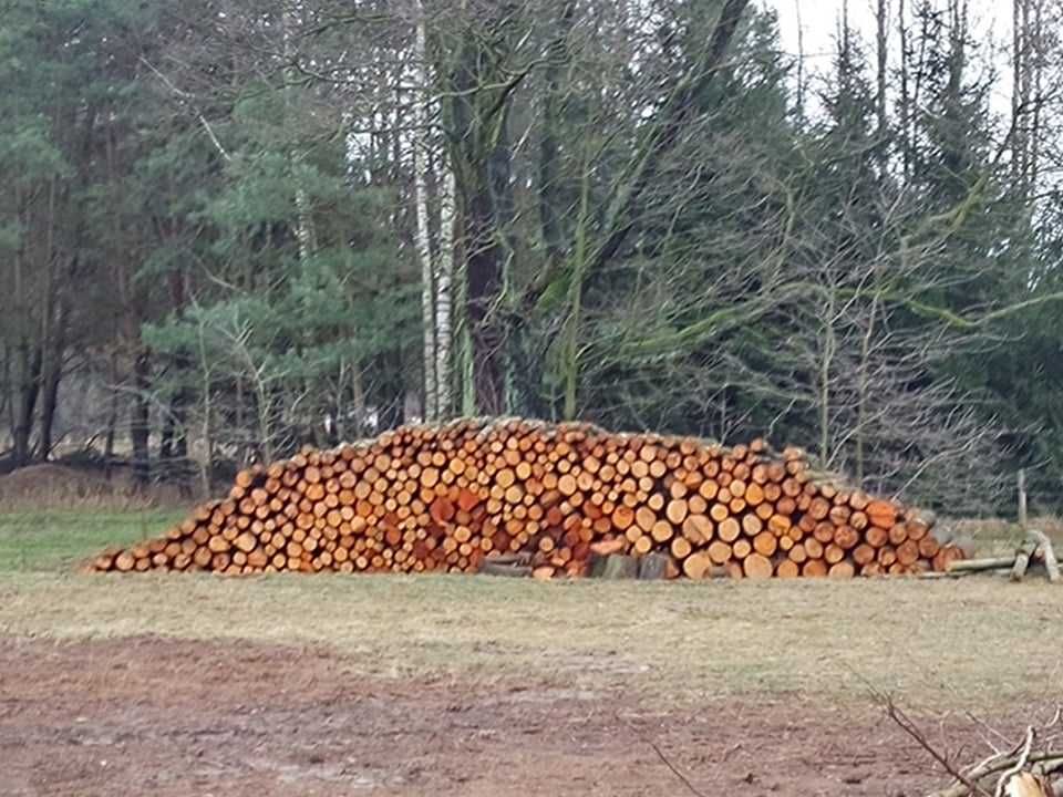 Drewno kominkowe, opałowe, krótkie kawałki