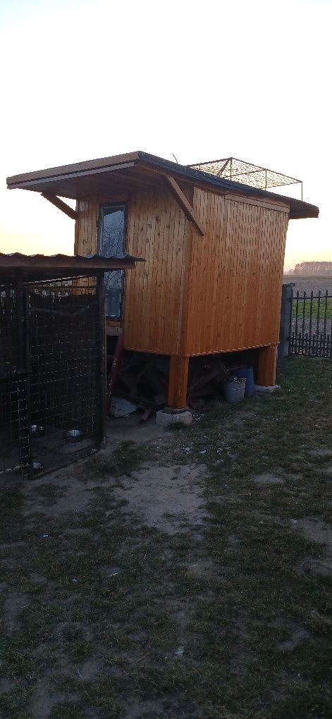 Gołębnik z golembiami lub same golebie