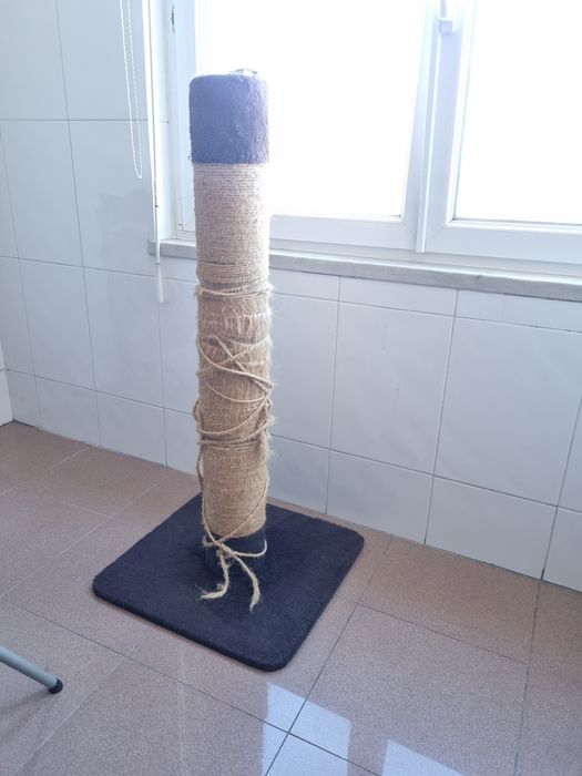 Arranhador gato, caixa de transporte